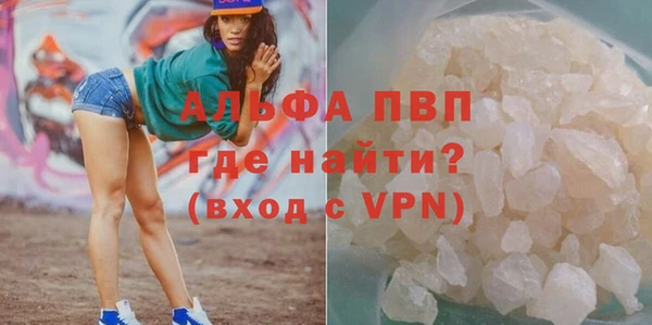 амф Козловка