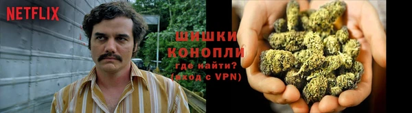 гидра Козельск