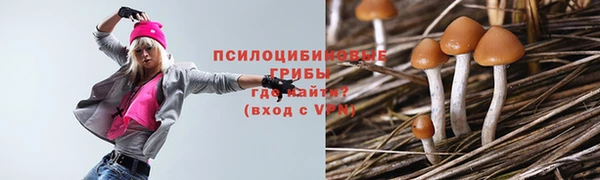 амф Козловка