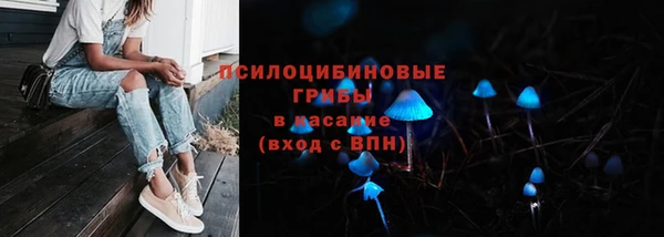 дживик Кодинск