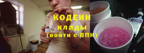 амф Козловка