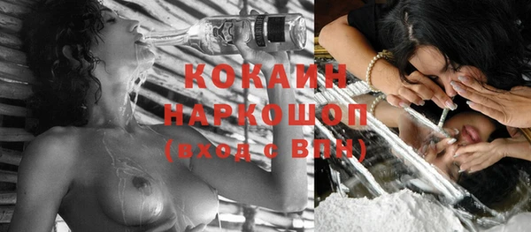 амф Козловка